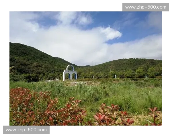 樱花落入爱琴海：一场关于“极致”与“永恒”的灵魂博弈